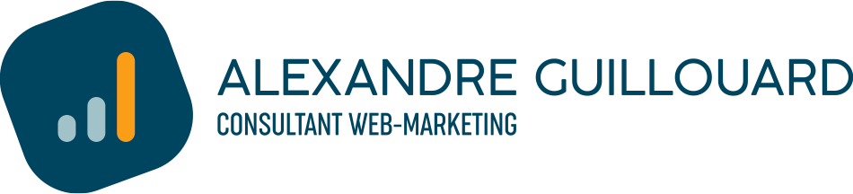 Alexandre Guillouard - Consultant Web-Marketing