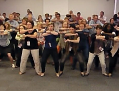 Haka Waka