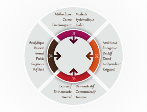 Couleur Success Insights